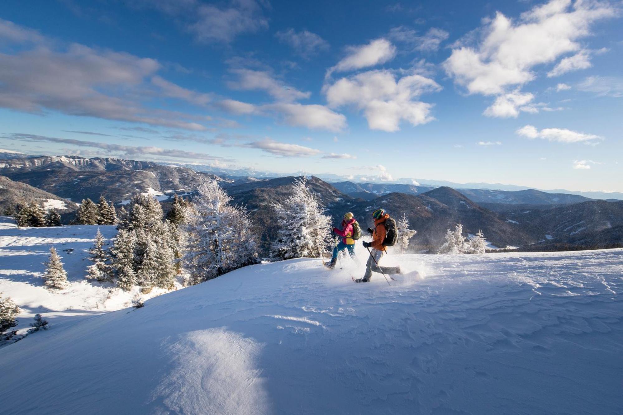 Ferienpark Kreischberg By Alps Resorts Sankt Lorenzen ob Murau Dış mekan fotoğraf