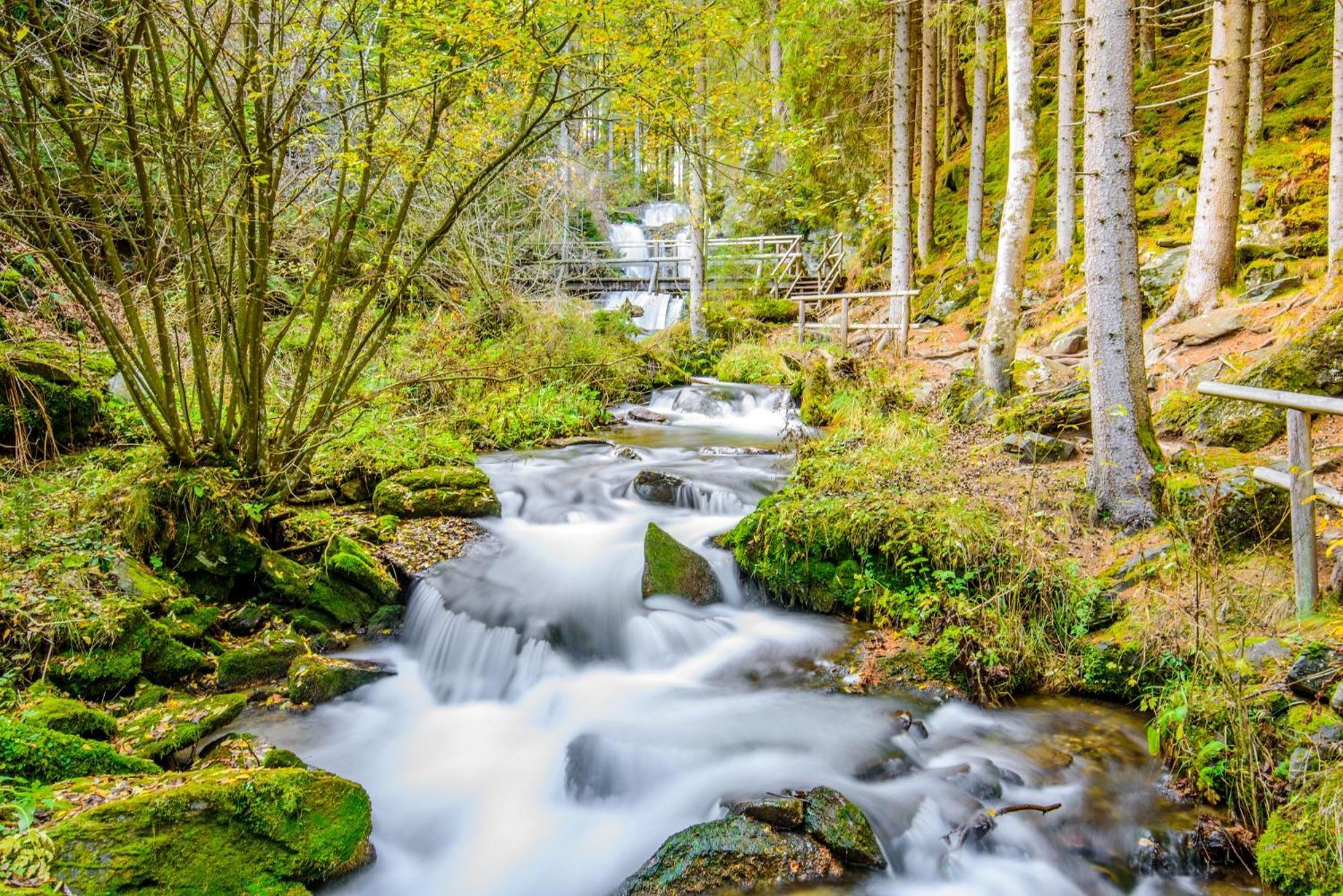 Ferienpark Kreischberg By Alps Resorts Sankt Lorenzen ob Murau Dış mekan fotoğraf